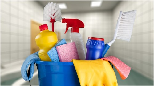 Carpet cleaning for pet stain odour removal