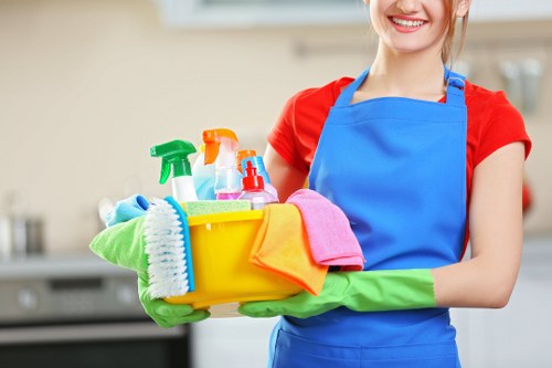 Professional upholstery cleaning for a fabric sofa in a bright living room