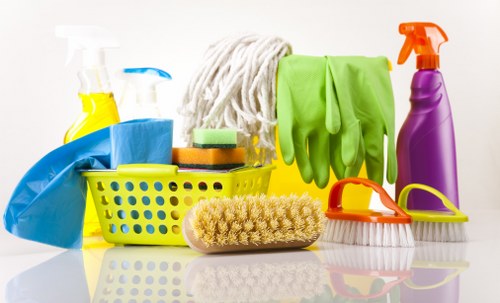 Rug cleaning process for a home area rug