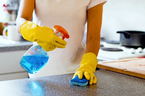 Upholstery affected by pet stain odour