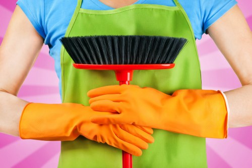 Deep cleaning a decorative rug in a living room