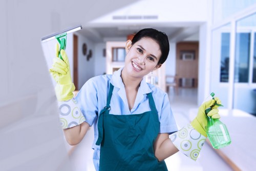 Deep mattress sanitizing service in Highbury home