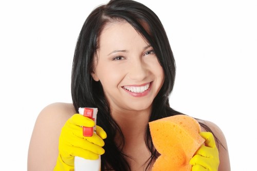 Dust and allergen removal during mattress cleaning in Highbury