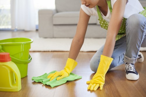 Professional rug cleaning tools and fiber care