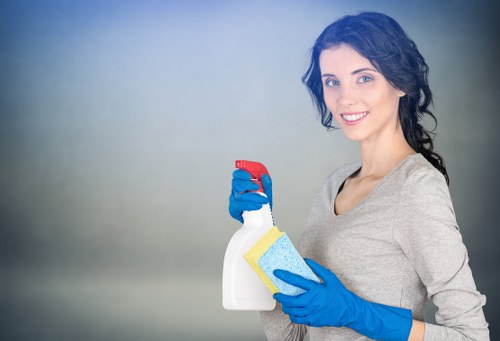 Professional carpet cleaning process in a bright home interior