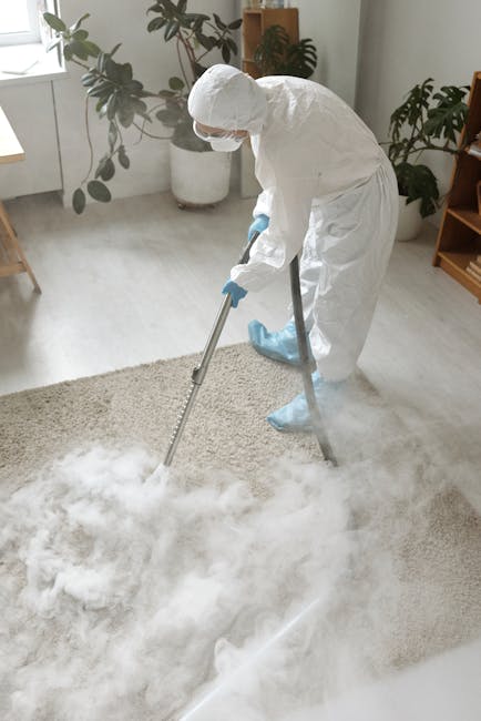 A person standing barefoot on a beige textured carpet, holding a red and black vacuum cleaner with a house icon on its body, engaged in surface cleaning within a room featuring wooden flooring adjacen